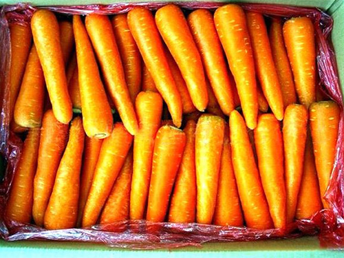 食材配送胡萝卜食用的营养成分有哪些？